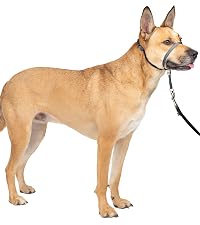 https://m.media-amazon.com/images/S/aplus-media-library-service-media/d5869195-47e0-4389-a638-ce6a32c414fc.__CR860,0,2887,3248_PT0_SX200_V1___.jpg