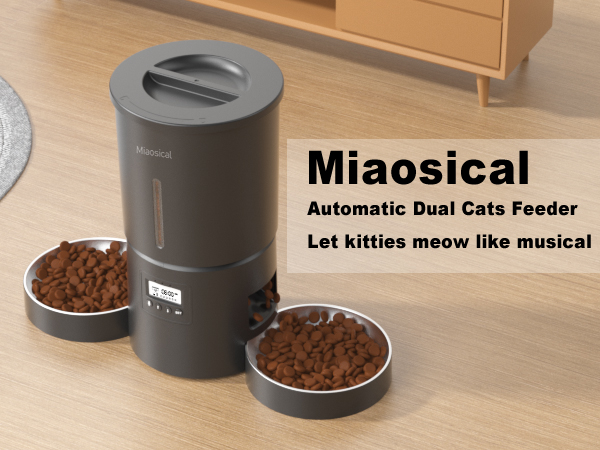 dual cats automatic pet feeder black