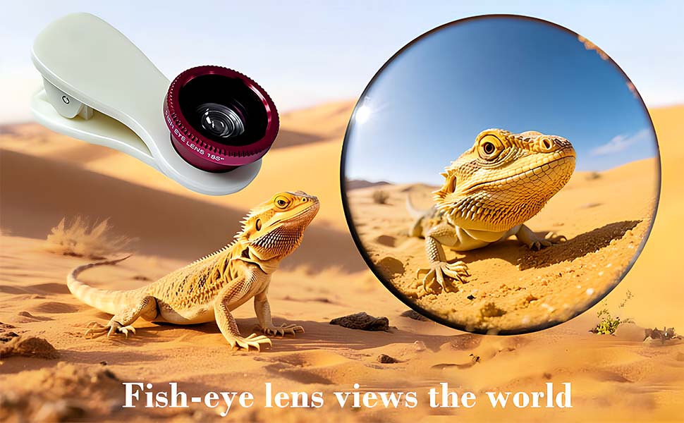 iphone fish-eye lens