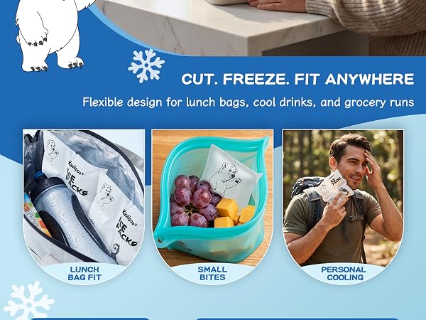 Dry ice packs
