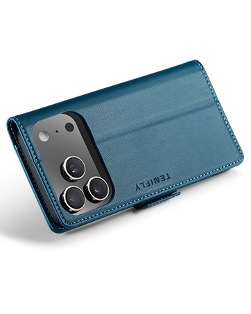 tenifly case