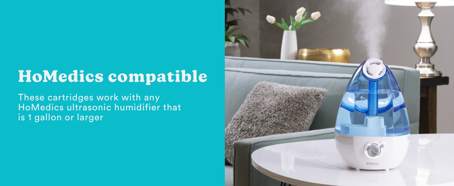 humidifier with mist in living room