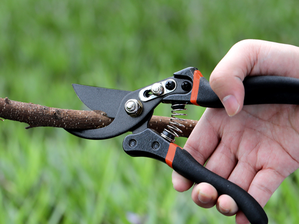 pruning shears
