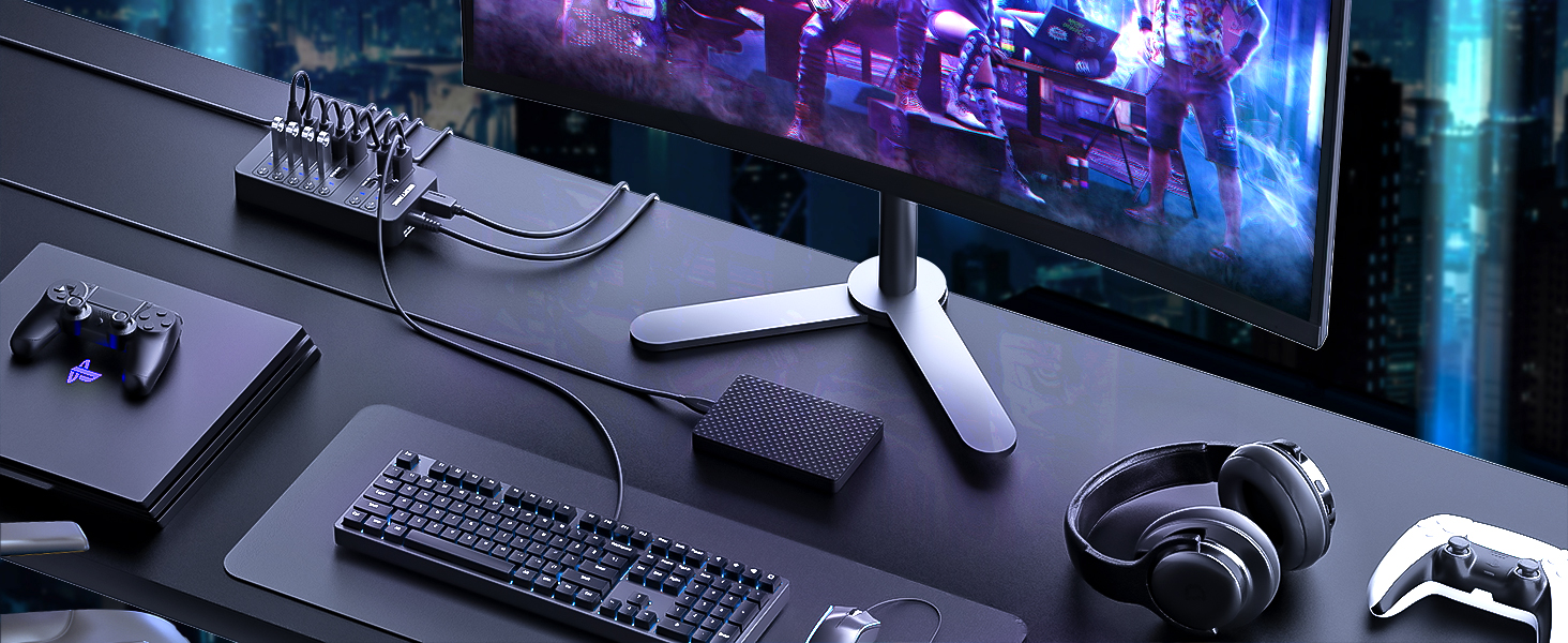 SENTANK Powered USB Hub