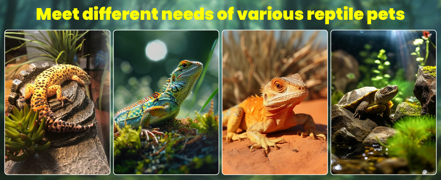 uvb light for reptiles