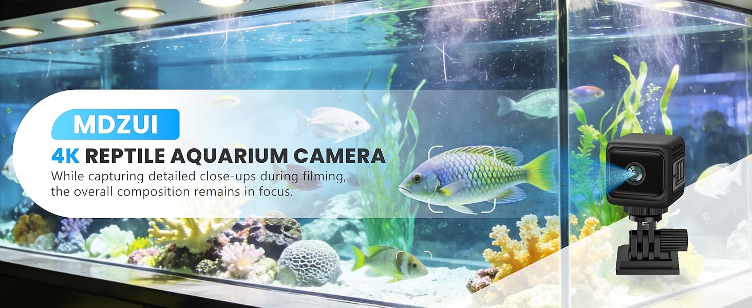 Cameras for home security