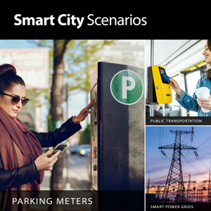 Smart City Parking Meters Public Transportation Smart Power Grids