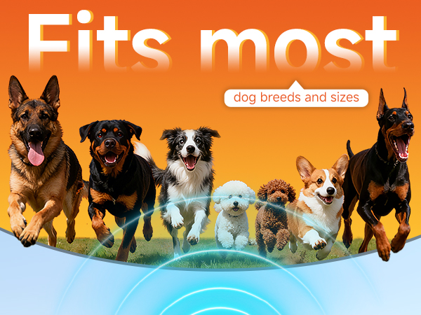 Dog Bark Deterrent Device