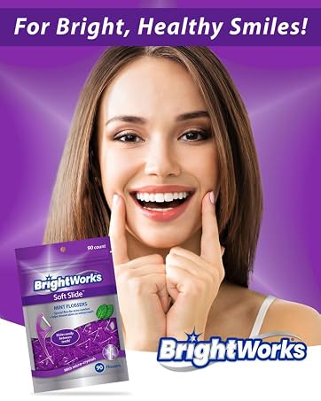Brightworks Dental Flosser Picks
