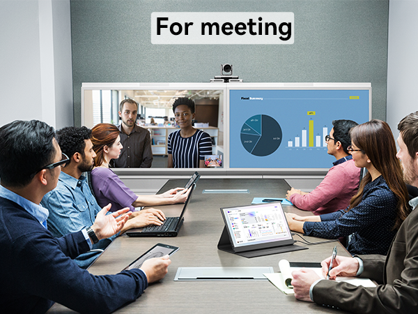 portable monitor for meeting
