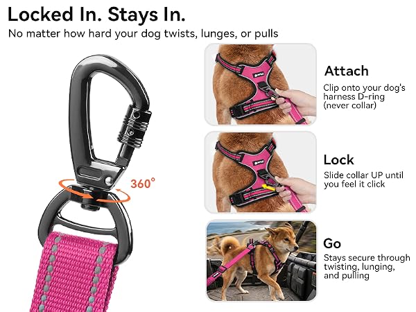 dog seat belt for car