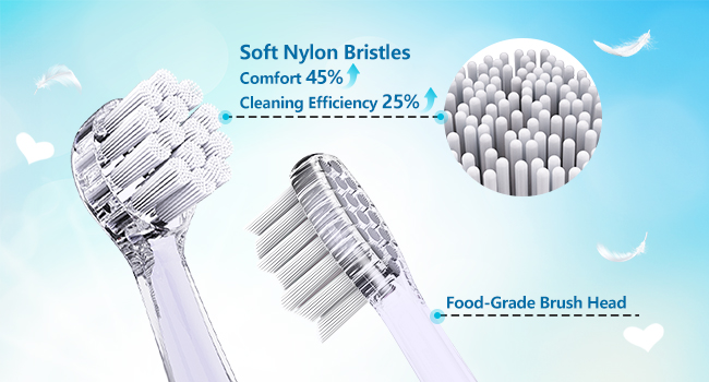 Brush Heads Included