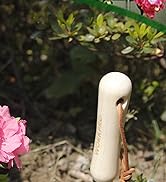 WORKPRO 6 Pairs Garden Gloves, Work Glove with Eco Latex Palm Coated, Working Gloves for Weeding,...