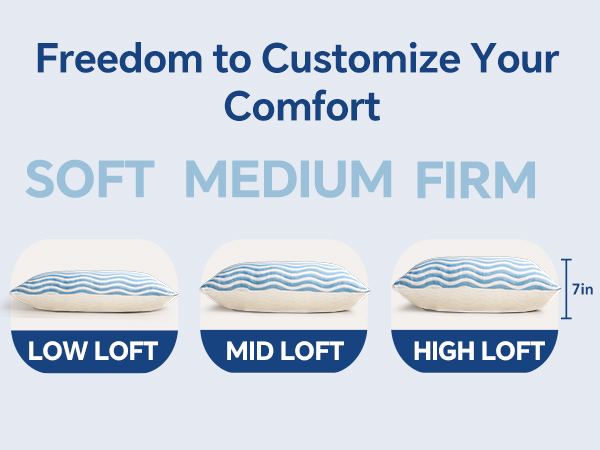 queen size pillows set of 2