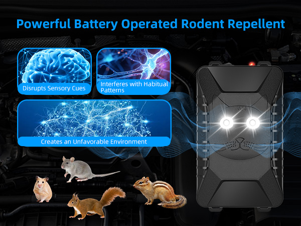 rat repellent for car