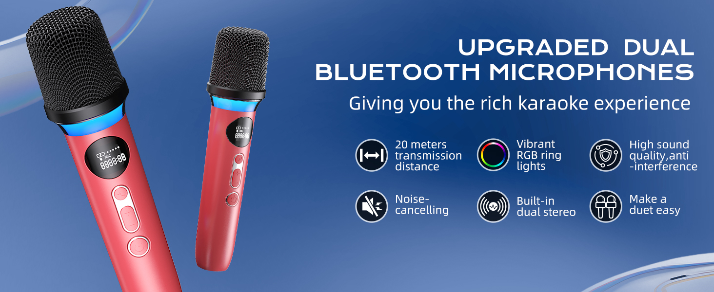 Karaoke Microphone 