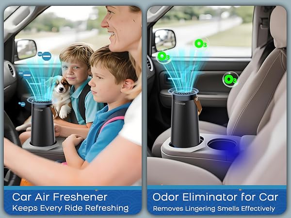 ozone car odor eliminator