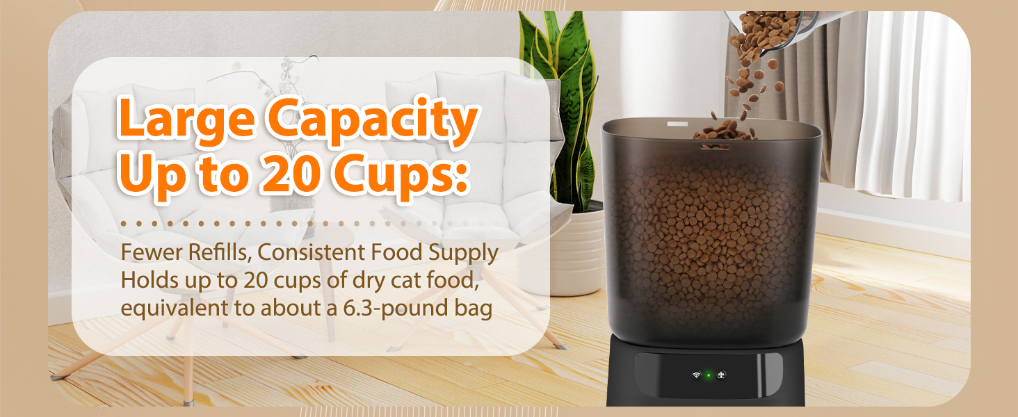 timed cat feeders for dry food