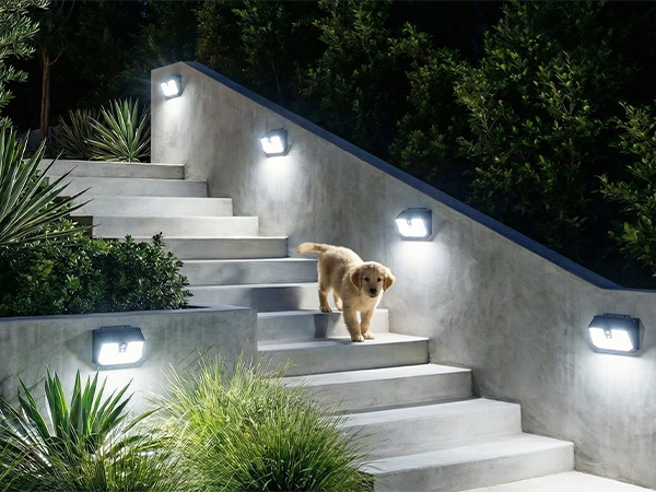 Motion Sensor Solar Lights