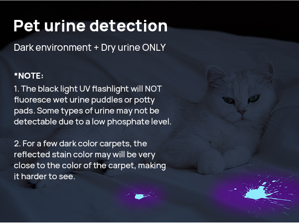 uv flashlight cat urine detector