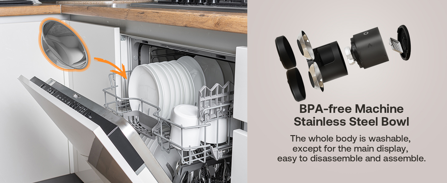 automatic cat food dispenser