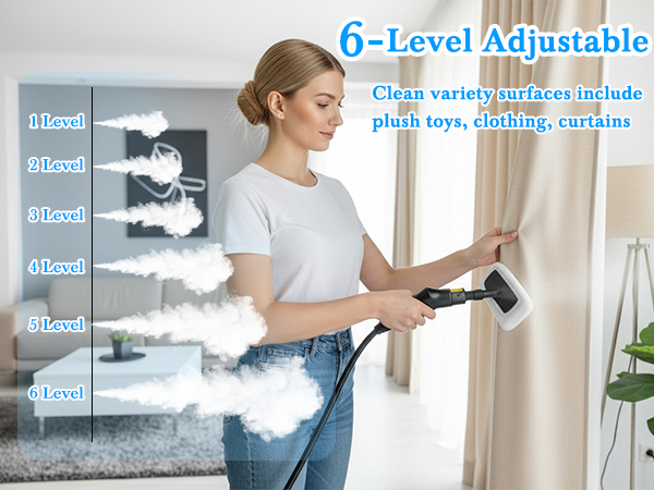steam cleaner for home