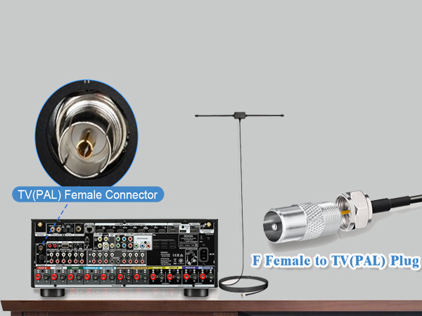 F Female to TV(PAL) Plug-