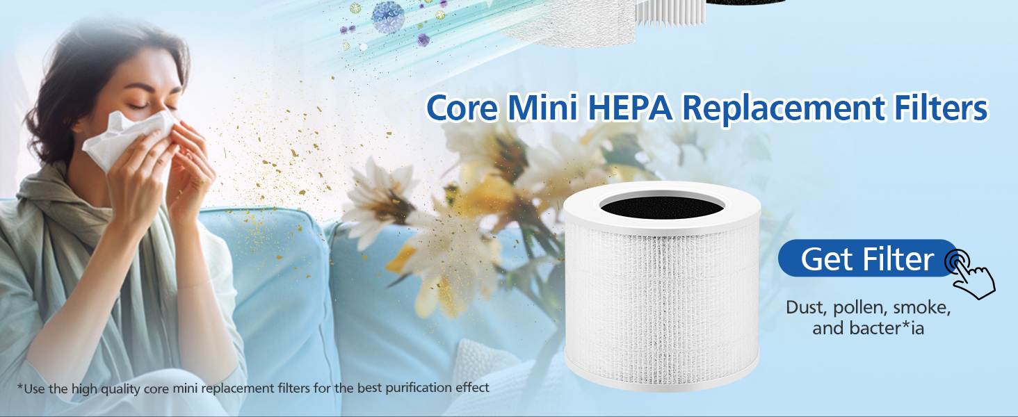 Core mini replacement filter