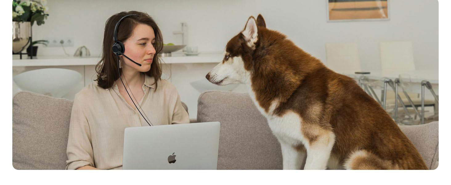 noise canceling headset with mic, pc headset with mic, wired headset with mic, usb headset