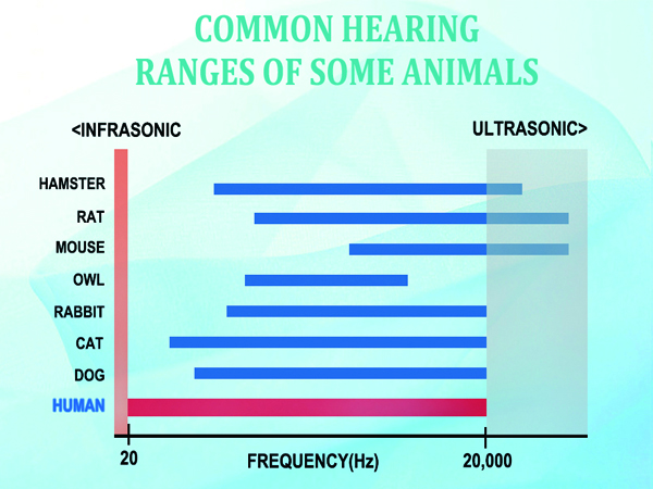 mouse trap pest repellent ultrasonic plug in rodent repellent indoor