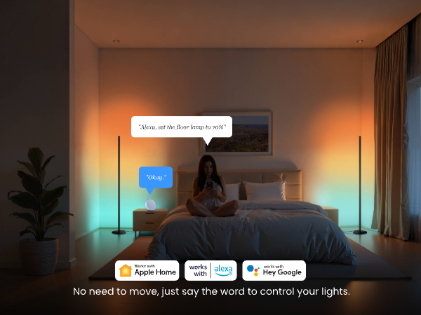 alexa floor lamp