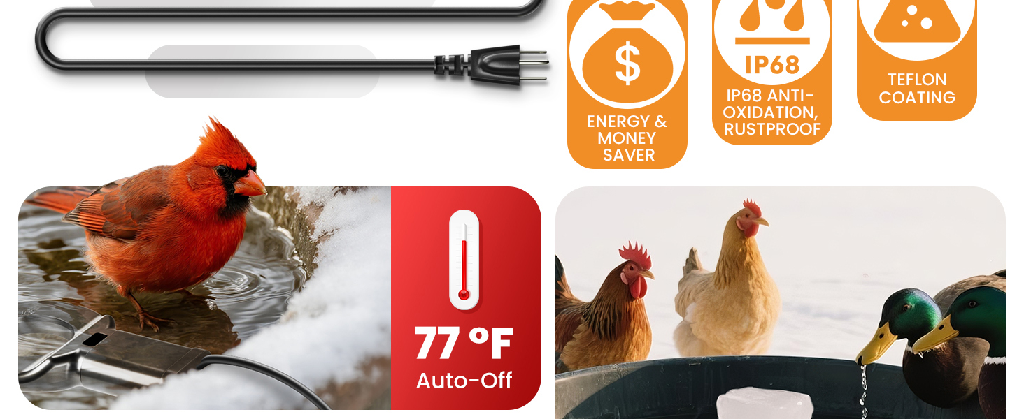 heated chicken waterer