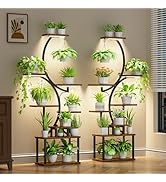 BACEKOLL Plant Stand Indoor with Grow Light - 2 Pack Tall Indoor Plant Shelf, 62