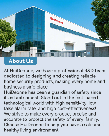 portable co detector for travel