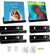 black acrylic vinyl shelves