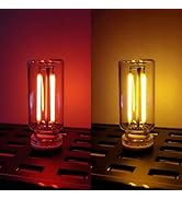 ChubbyGlow - Transparent RGB LED Light, USB Powered Lighting Mood with Touch Dimmable, Portable M...