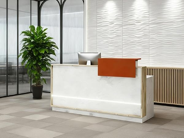 Modern Reception Desk with Counter