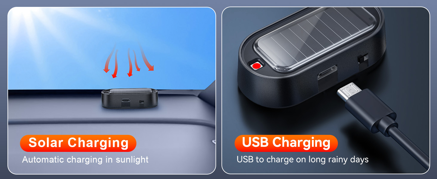 Warning Interior Safety Lights