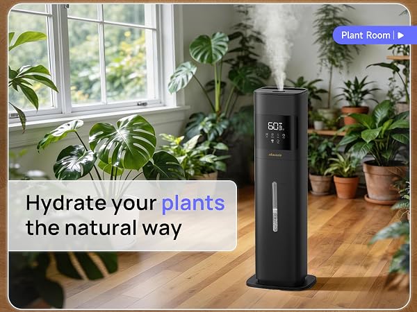 humidifier for plants