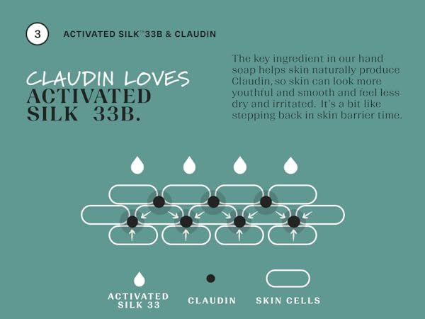 Claudin loves Activated Silk 33B