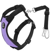 Safety Seat Belt