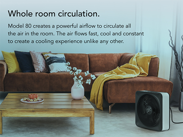 Mobile Whole Room Circulation