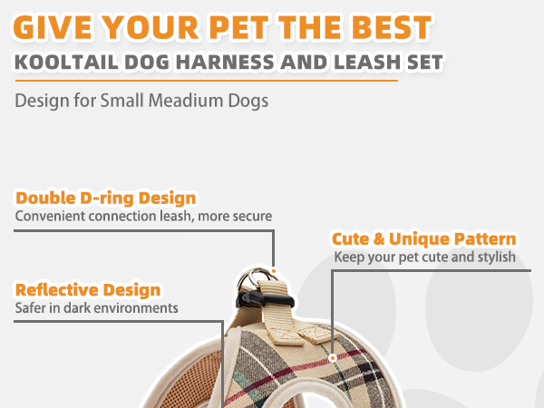 dog harness and leash set