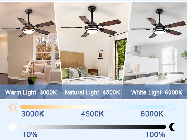 5 blade ceiling fan with light