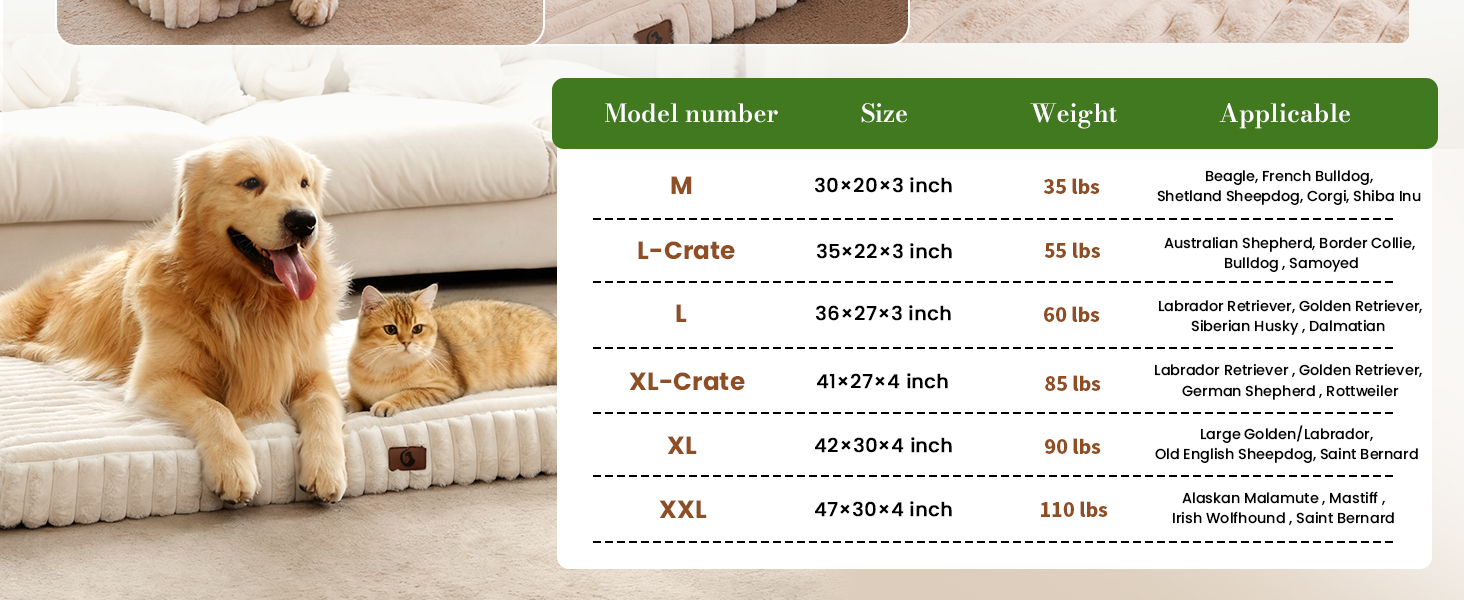 washable dog bed