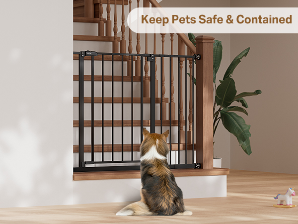 Dog safe by black gate (blocks stairs). Slogan: "Keep Pets Safe &amp; Contained.