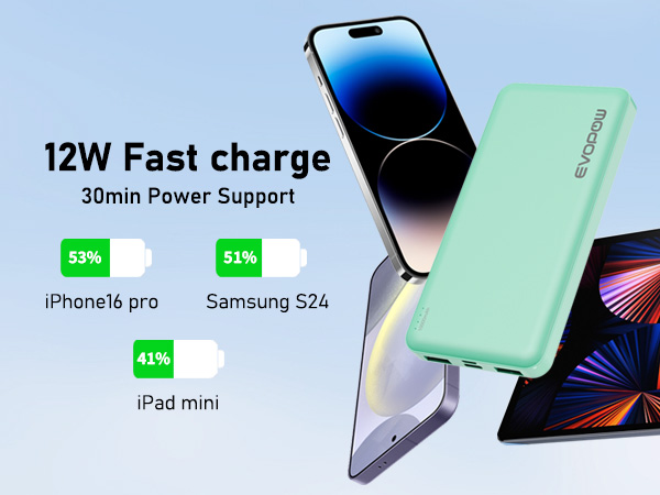12W Fast charge 30min Power Support power bank