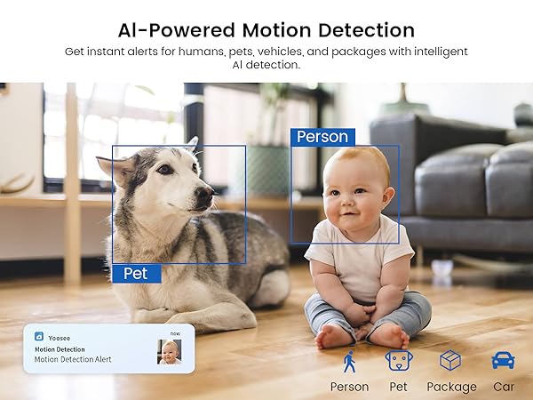 Security Cameras for Home