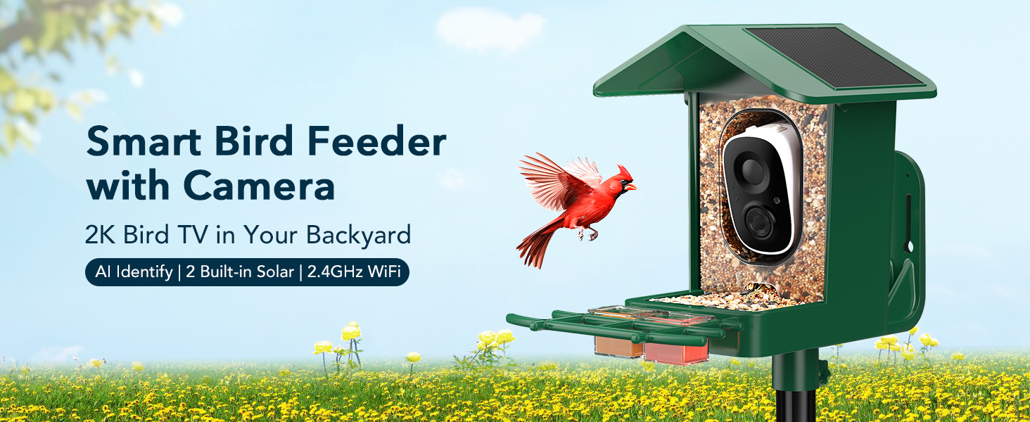 bird feeder with camera