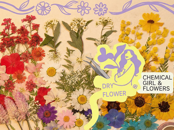 DIY Pressed Flowers